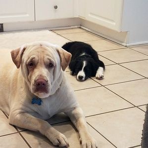 Meet your Posher, Bryan